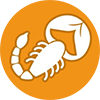 vruschikarasi